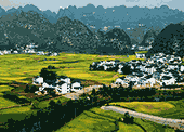 咪家園