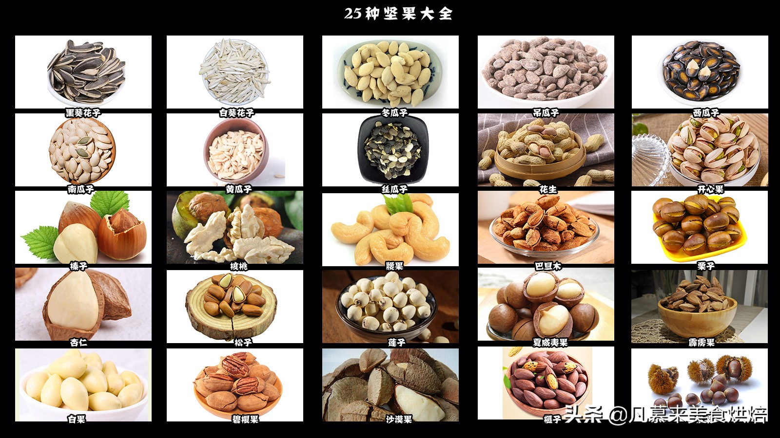 堅果類食品有哪些？25種堅果大全你都認識嗎？堅果的吃法有哪些
