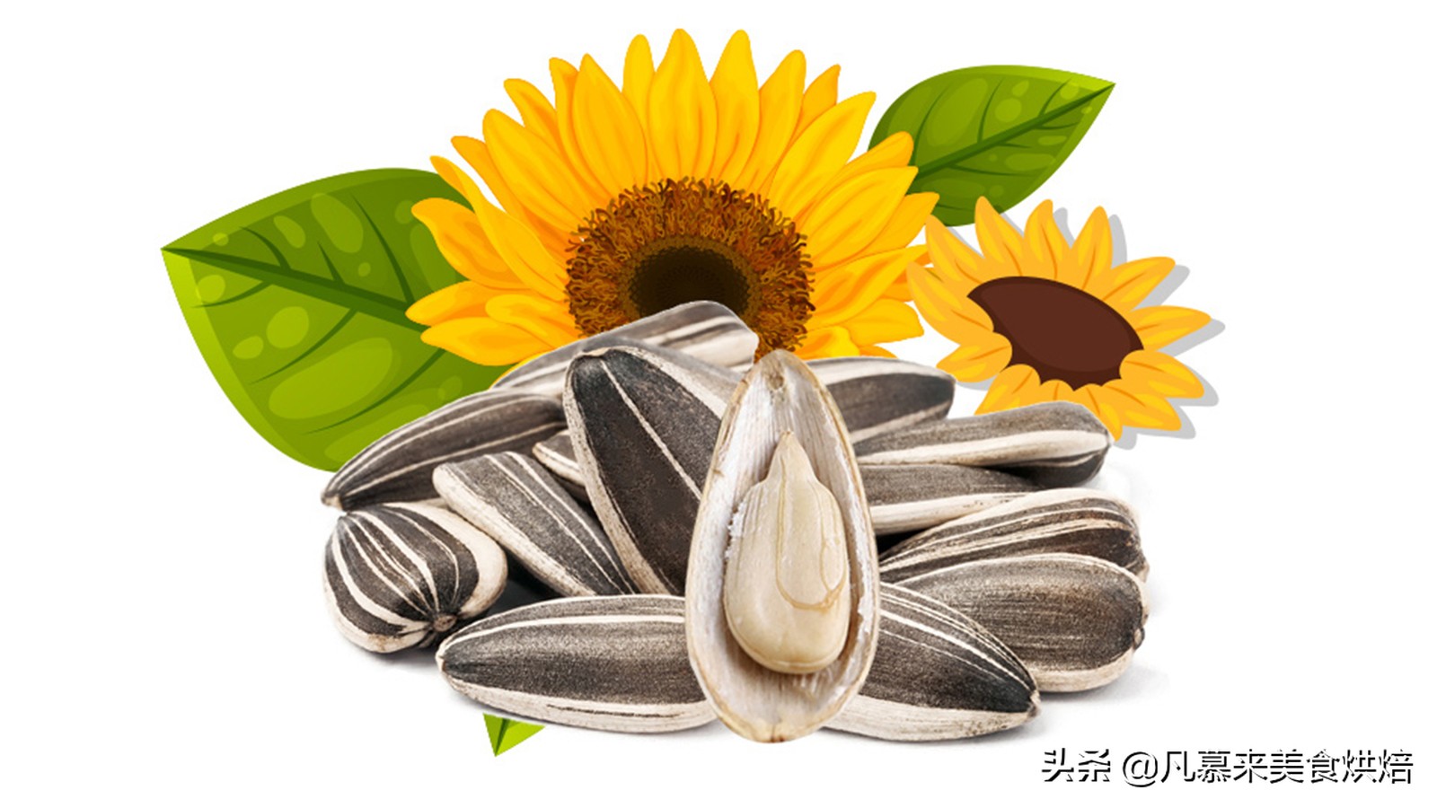 堅果類食品有哪些？25種堅果大全你都認識嗎？堅果的吃法有哪些
