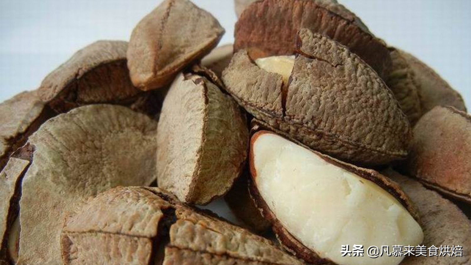 堅果類食品有哪些？25種堅果大全你都認識嗎？堅果的吃法有哪些