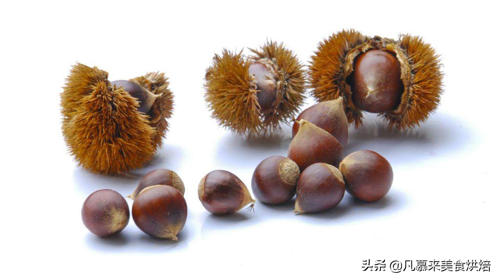 堅果類食品有哪些？25種堅果大全你都認識嗎？堅果的吃法有哪些
