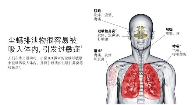 三款除螨儀測評，哪一款更值得購買？