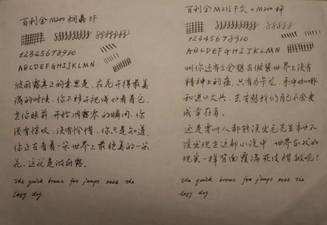 我的鳥筆初嘗試——幾支基本款現產百利金鋼筆對比評測