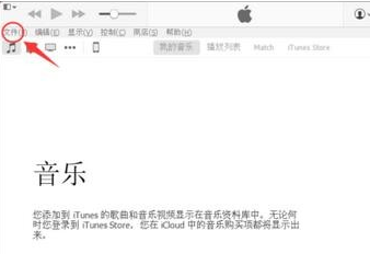 教大家通過ITUNES把電腦里的音樂導入你的iphone里，而且還能同步
