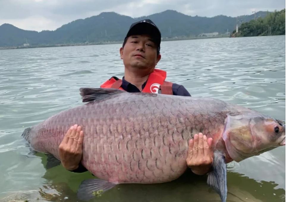 國內魚竿企業哪家強？如果早點知道，你能少花很多冤枉錢