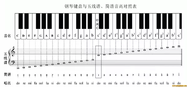 電子琴上哪個鍵是1234567？這里有你想知道的答案！