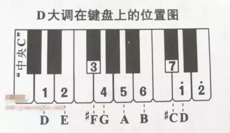 電子琴上哪個鍵是1234567？這里有你想知道的答案！