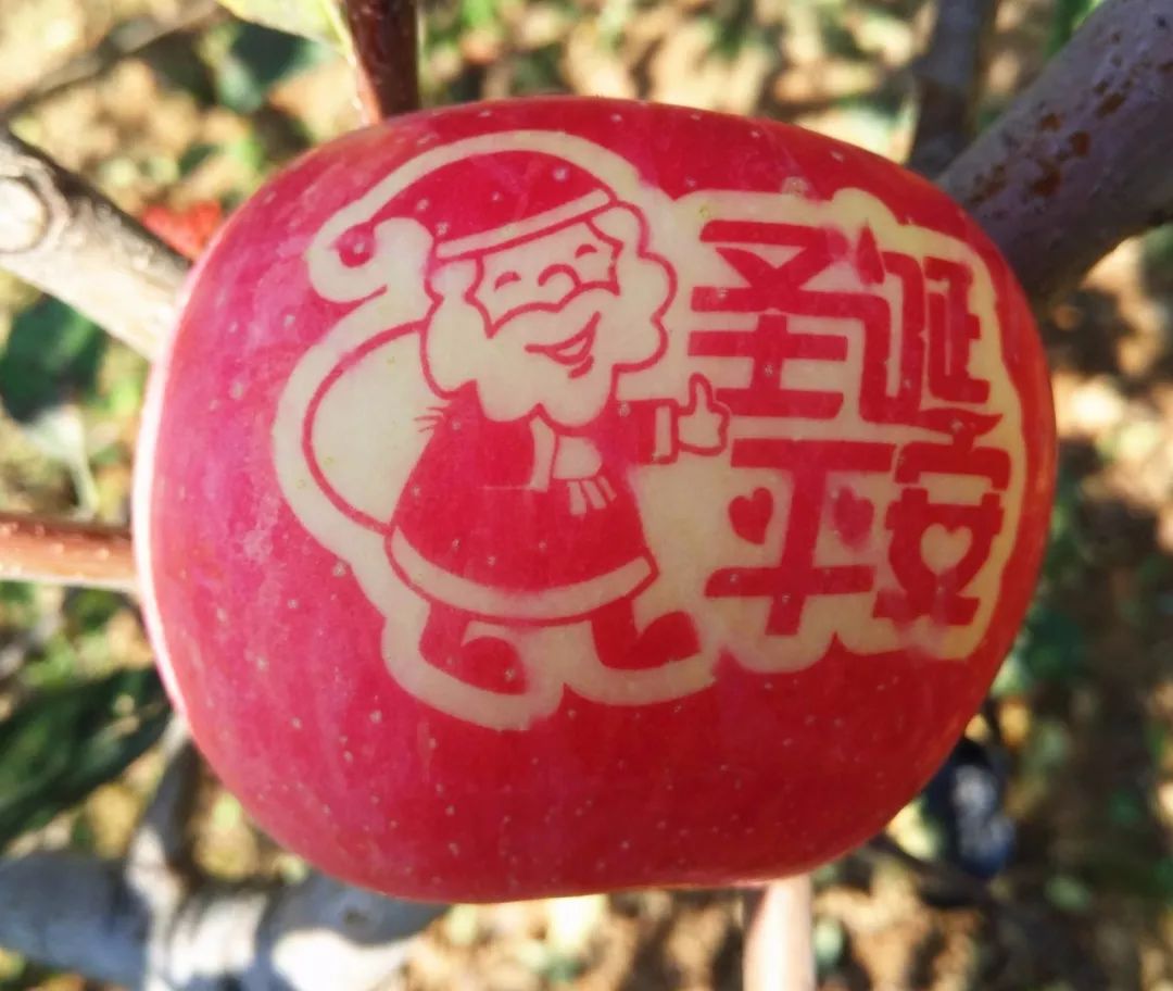 科普：“打雞血”一詞是怎么來的？