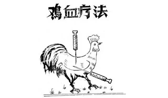 科普：“打雞血”一詞是怎么來的？