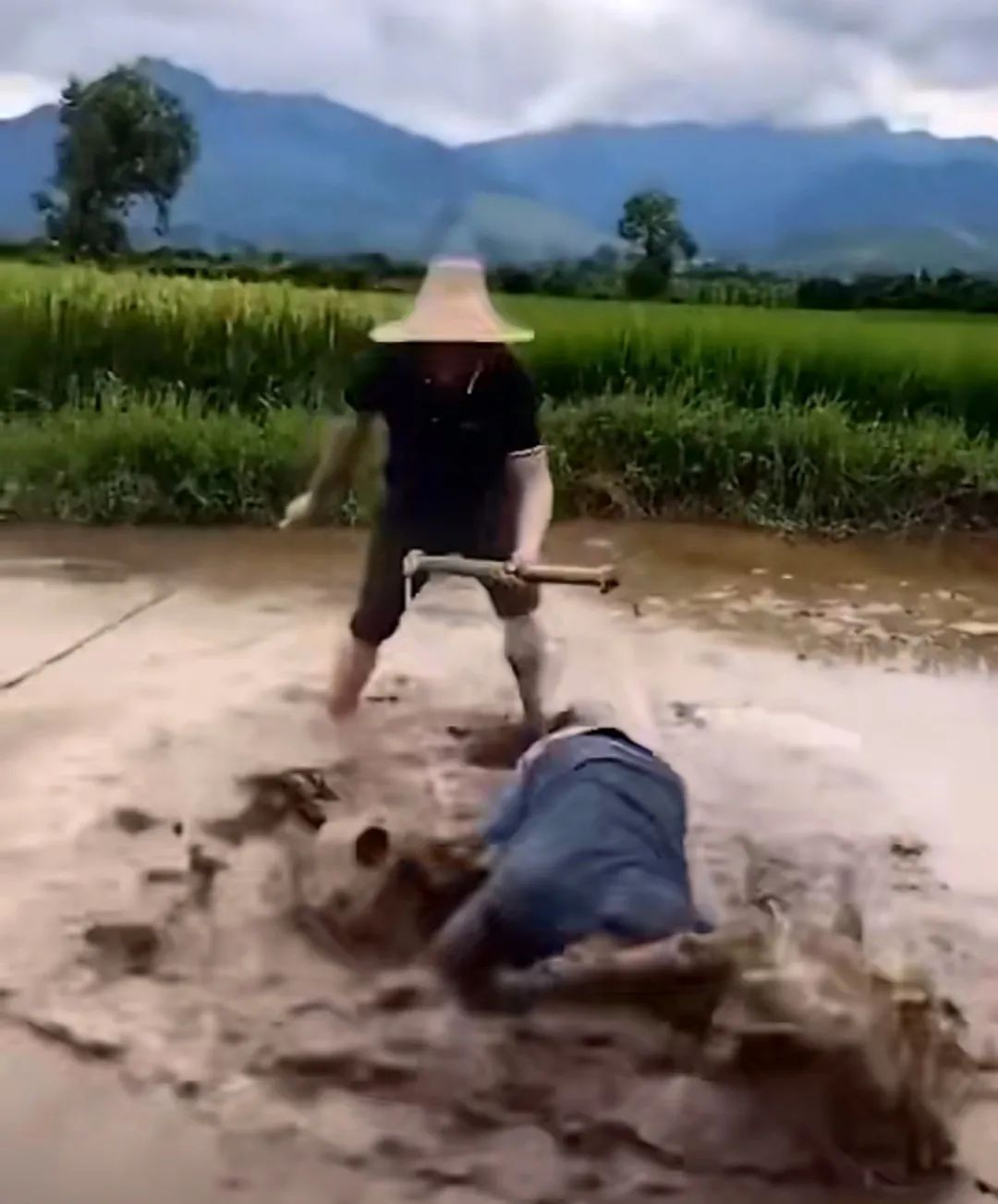 全網刷爆的山東“曹縣”，到底什么梗啊