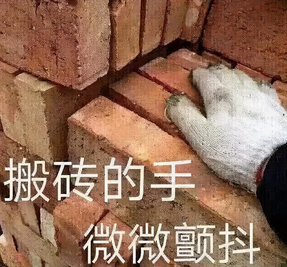 全網刷爆的山東“曹縣”，到底什么梗啊