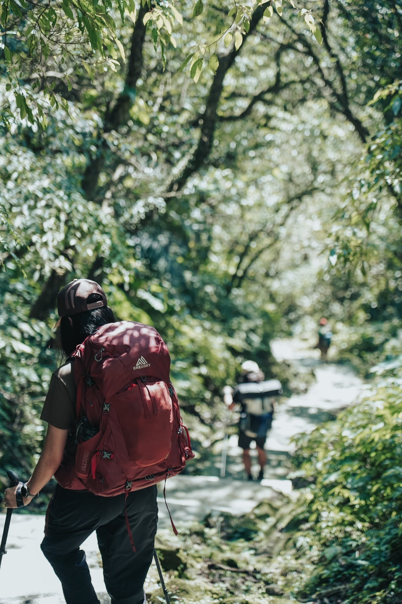 適合登山的大牌背包品牌，Gregory格里高利新款背包實測體驗