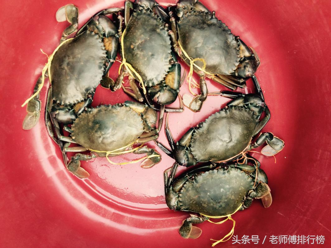 大閘蟹品牌六大排行榜，你吃過哪幾種？
