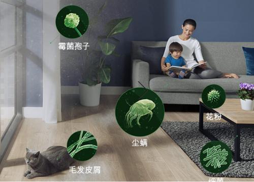 戴森V7 Mattress除螨器，家庭塵螨沒蹤跡