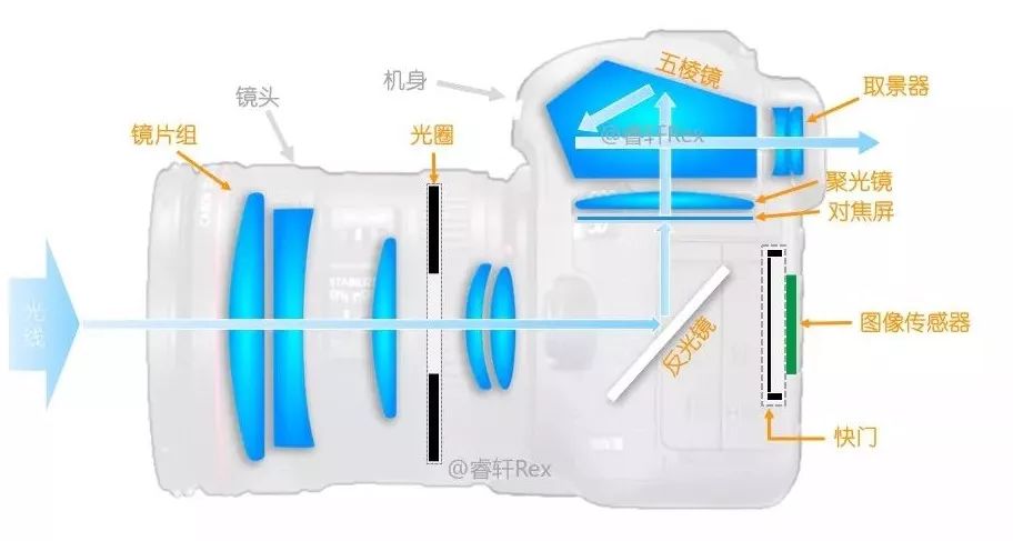 單反單反，到底什么是單反？