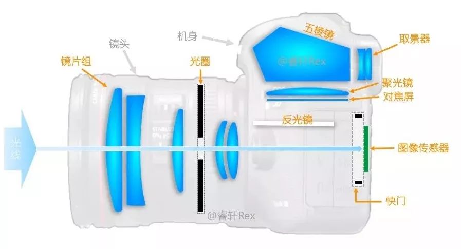 單反單反，到底什么是單反？