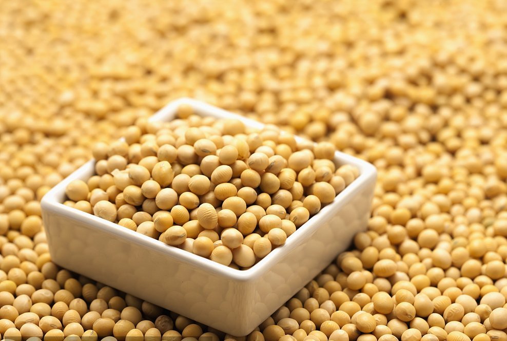 缺乏蛋白質有什么癥狀？這7種食物升糖慢、蛋白質超豐富！