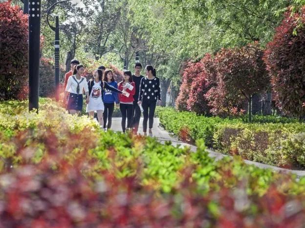 山東理工大學 建筑工程學院(山東省特色名校優質校)(5)