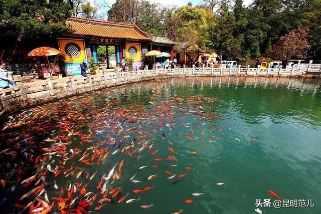 昆明旅游經典路線(5條玩轉昆明的最佳線路)(27)