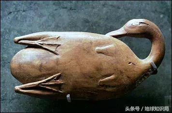 中東流傳已久的這個禁忌，你真的知道原因嗎｜地球知識局