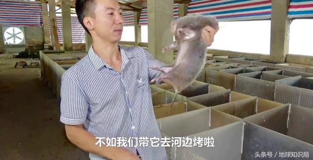 中東流傳已久的這個禁忌，你真的知道原因嗎｜地球知識局