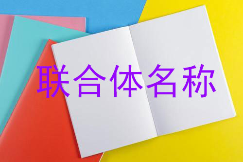 聯合體名稱