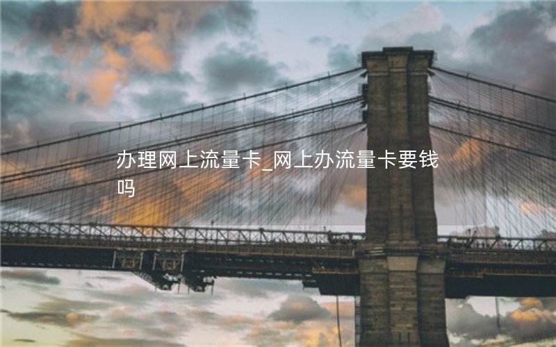 辦理網上流量卡_網上辦流量卡要錢嗎