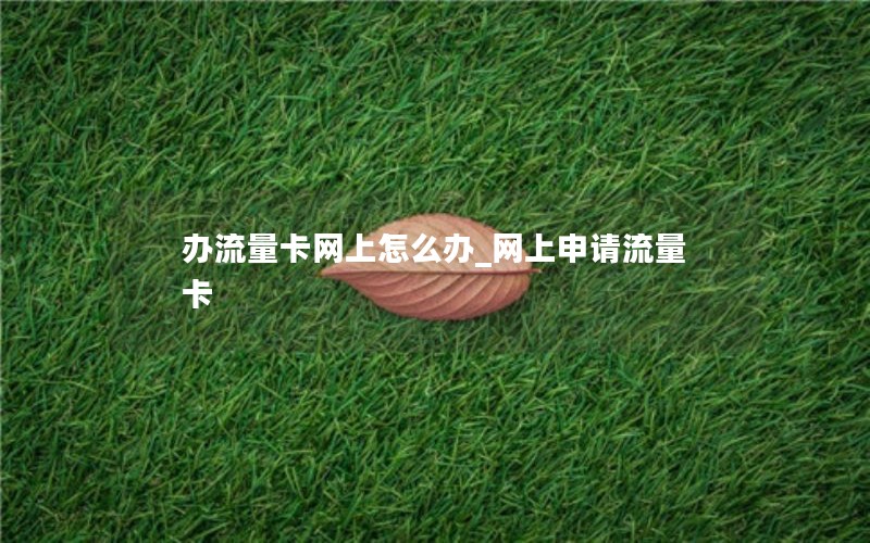 辦流量卡網上怎么辦_網上申請流量卡