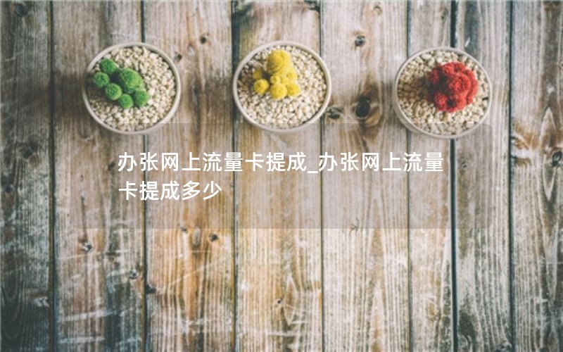 辦張網上流量卡提成_辦張網上流量卡提成多少