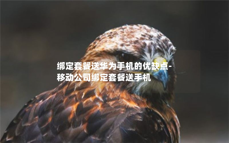綁定套餐送華為手機的優缺點-移動公司綁定套餐送手機