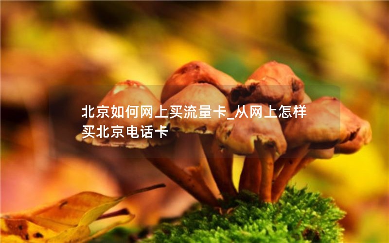 北京如何網上買流量卡_從網上怎樣買北京電話卡