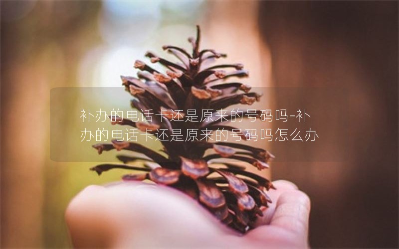 補辦的電話卡還是原來的號碼嗎-補辦的電話卡還是原來的號碼嗎怎么辦