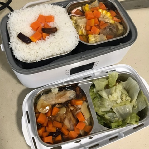 生活元素電熱飯盒怎么樣用，真實使用體驗(附詳細使用步驟)