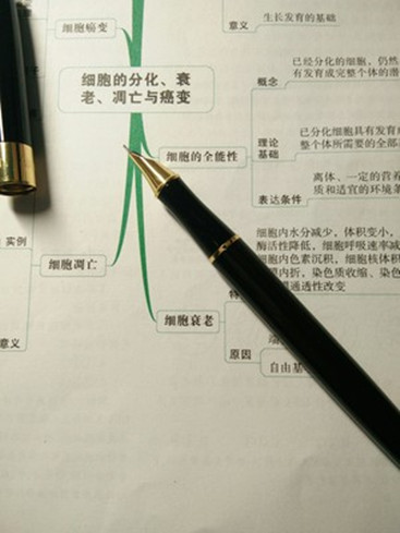 英雄鋼筆哪個型號好怎么樣，用戶體驗評測(價格有優惠喲)
