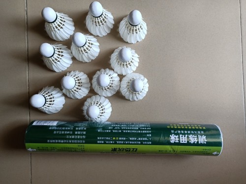 狂神羽毛球怎么樣質量好嗎，真實效果使用評測(價格僅18.9元)