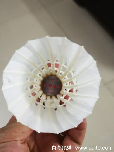 zjstar中極星羽毛球怎么樣多少錢，使用一個月后體驗(價格24.8元）  