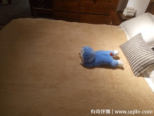 五羊牌電熱毯質量怎么樣好嗎，真實使用體驗(30年老品牌值得信賴)