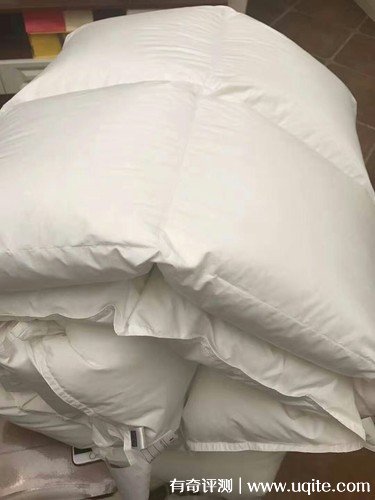 杉杉家紡羽絨被質量怎么樣，真實使用體驗(大朵羽絨輕盈保暖)