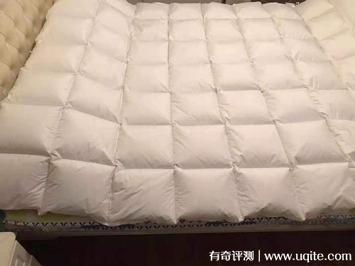 杉杉家紡羽絨被質量怎么樣，真實使用體驗(大朵羽絨輕盈保暖)