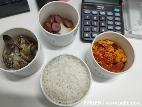 生活元素電熱飯盒怎么樣，真實使用體驗(蒸/煮/熱多花樣)