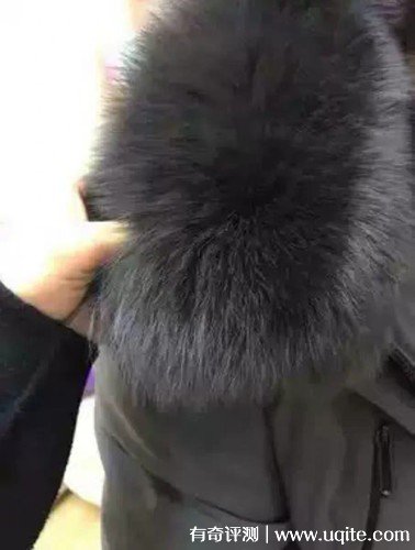 塞爾伯恩羽絨服怎么樣什么檔次，真實購買體驗(大眾消費品牌)