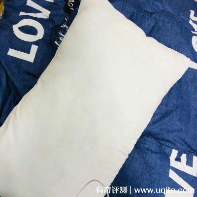 南極人枕頭芯怎么樣可以機洗嗎，真實使用體驗(可機洗)