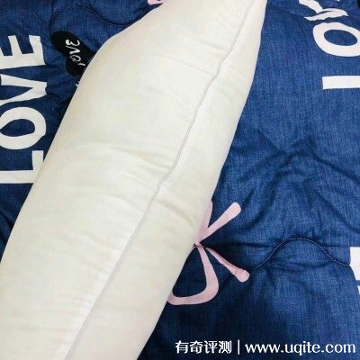 南極人枕頭芯怎么樣可以機洗嗎，真實使用體驗(可機洗)